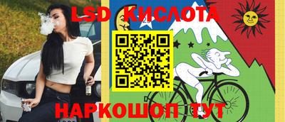 прущие грибы Шахты