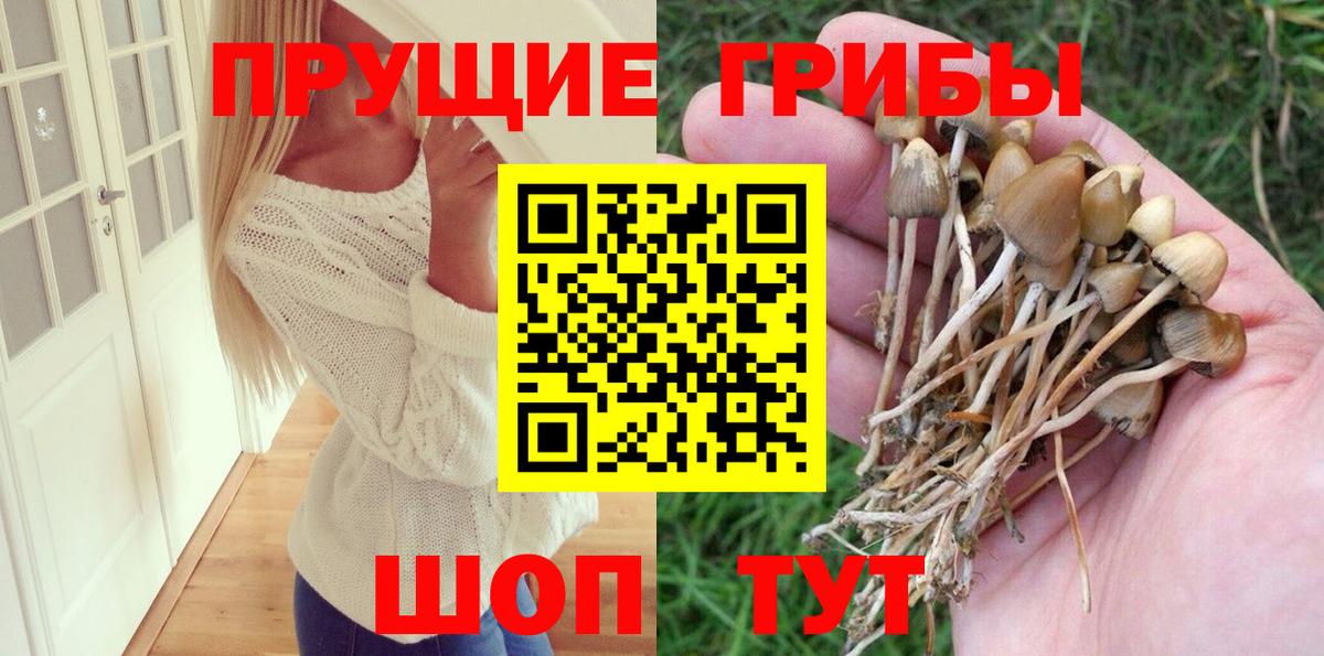 Галлюциногенные грибы ЛСД Кубинка