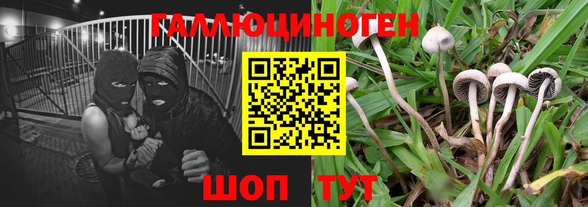 LSD-25  МАРИХУАНА  ГАШИШ  МАРИХУАНА  Кубинка  Вход с VPN  Мефедрон кристаллы  Гашиш  Кокаин  Купить наркотик 