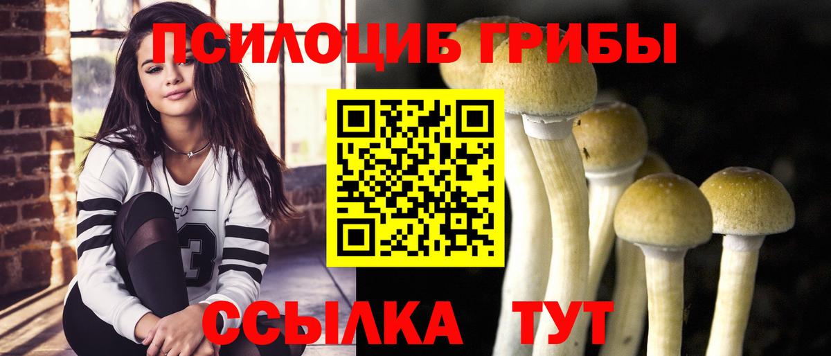 Кубинка  Галлюциногенные грибы Cubensis  Вход с VPN 